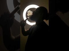 Système de cosse jetable en métal de 10 couleurs, 4000 bouffées, cigarette électronique aromatisée